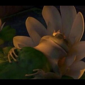 Meet your Posher, Guess